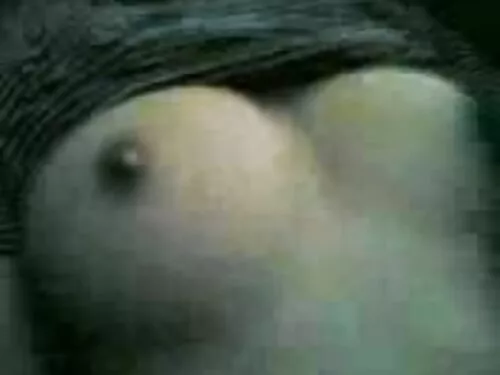 نوینها سافادینه سه ا ...